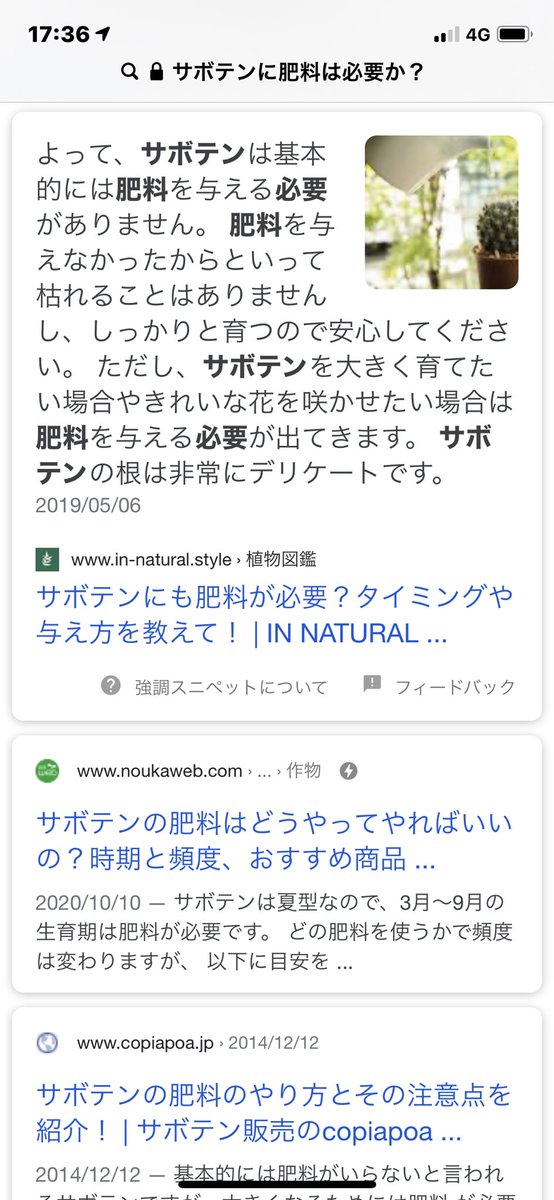 岡山pepperland ペパーランド ドイツから来た多肉植物 子宝ベンケイソウだったかな わが家でブリーダーしてます