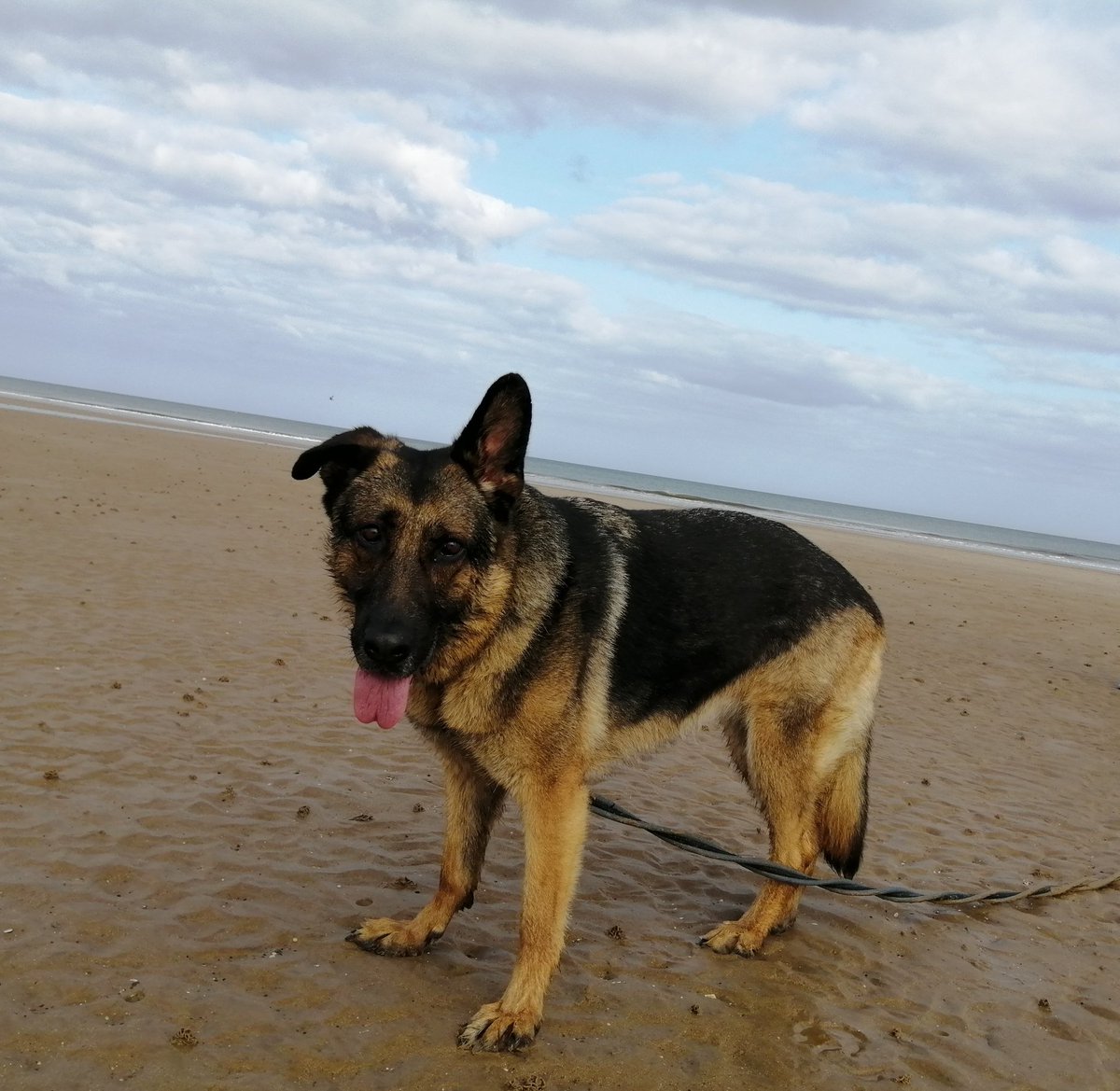 Layla Hendow tweet media