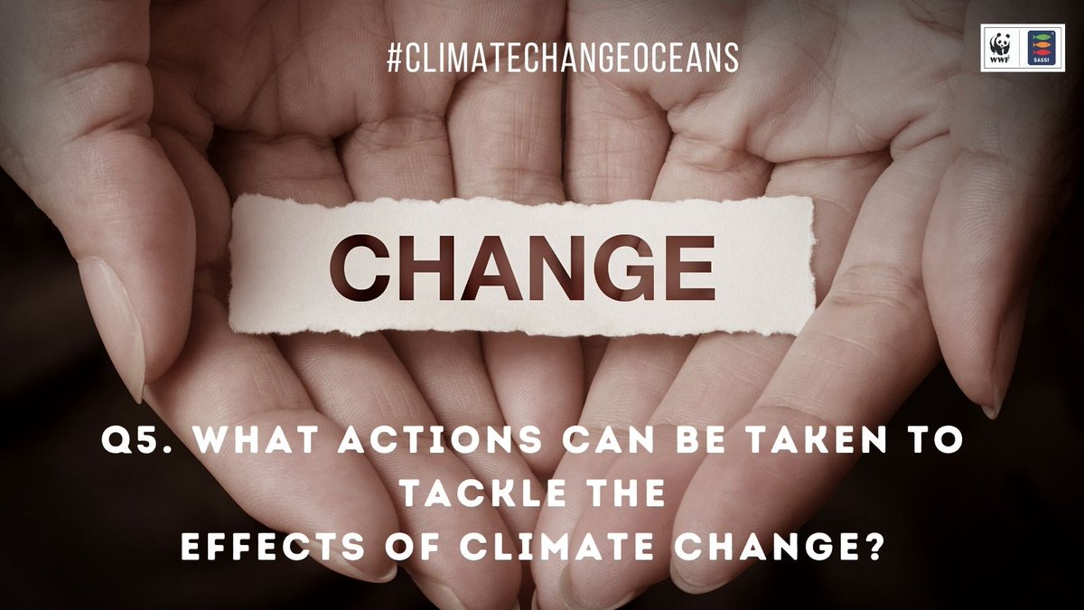 WWF-SASSI tweet media