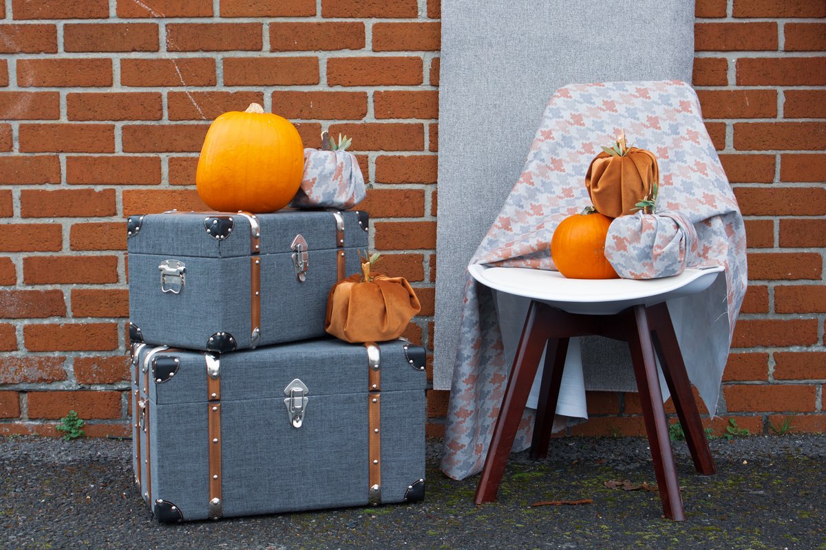 BridgeInteriorC's tweet photo. 🎃It's spooky season, and the perfect time to showcase
 @PanazFabrics  brand new Hoxton collection. It includes a range of beautiful colours but of course we picked the autumnal tones.

#fabricfeature #friday #halloween #photoshoot #contractcurtains #softfurnishings #blinds https://t.co/5XQWMaflri