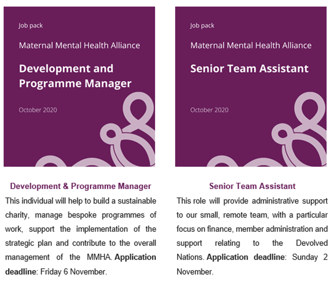 Could you help @MMHAlliance with the great work being done to improve perinatal #mentalhealth for mothers in the UK? Two key jobs available now. More details here: tinyurl.com/y4wyzln5 @PMHPUK @birth_better @peppy_health @lucianaberger @PNDandMe @first1001days