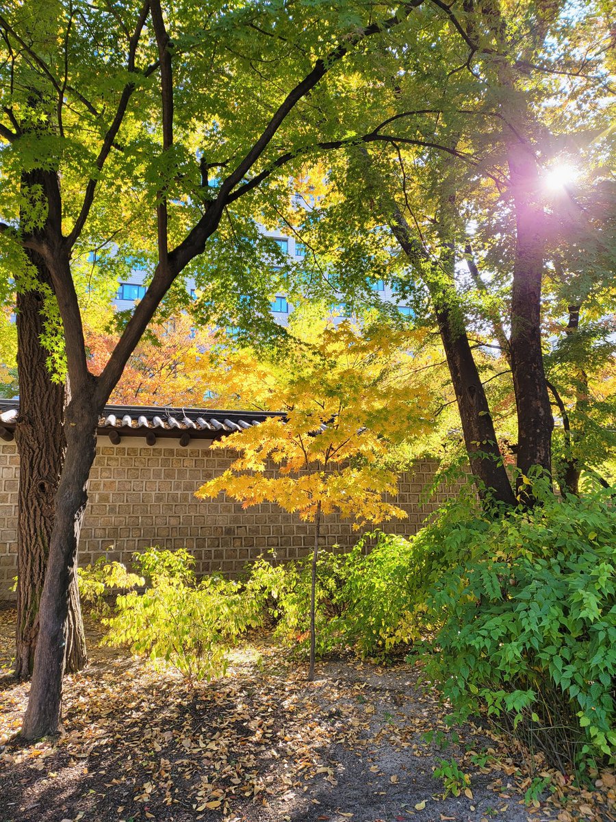 가을 🍂🍁