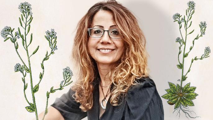_RHResearch's tweet photo. Ground breaking research from Professor Alessandra Devoto @RHULBioSci @RoyalHolloway @RHULWiB has found that thale cress leaves kills cancer cells, but leaves healthy cells unharmed. Read more from @katie_gibbons1 in @thetimes #BreastCancerAwarenessMonth

https://t.co/CIYNtjRkiK https://t.co/2Zl7Y1vNCv