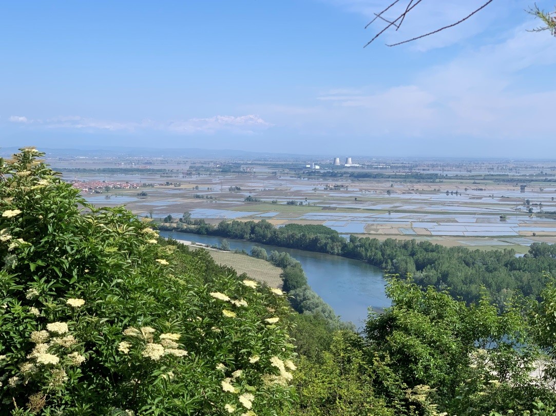 InterregML's tweet photo. GREEN INFRASTRUCTURE STRATEGY &amp; ACTION PLANS FOR PIEDMONT REGION
Po Hills around Chieri: https://t.co/GMiDMWT01n 
Upper Po Plain: https://t.co/jUZchkXNPB
@regionepiemonte @CoronaVerde @CittaMetroTO @ENEAOfficial 
#cooperationiscentral #finalresultstour #EUinmyRegion #EUGreenDeal https://t.co/IT8bcrIyYQ