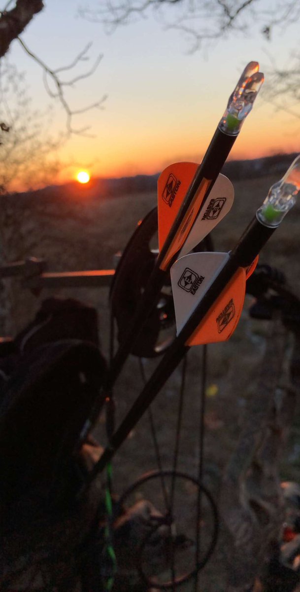 Ready To Hunt tweet media