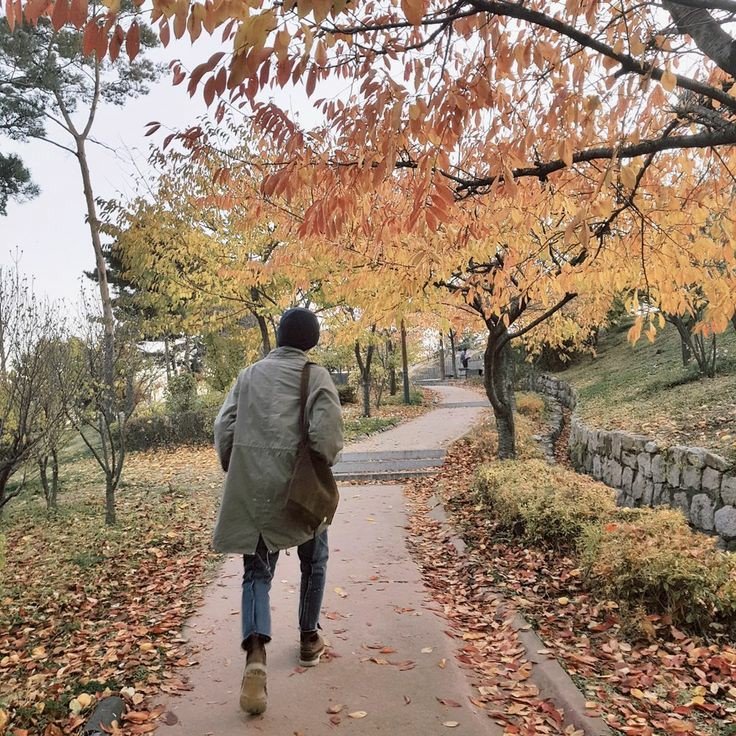imagine going for a walk to a place like that with him