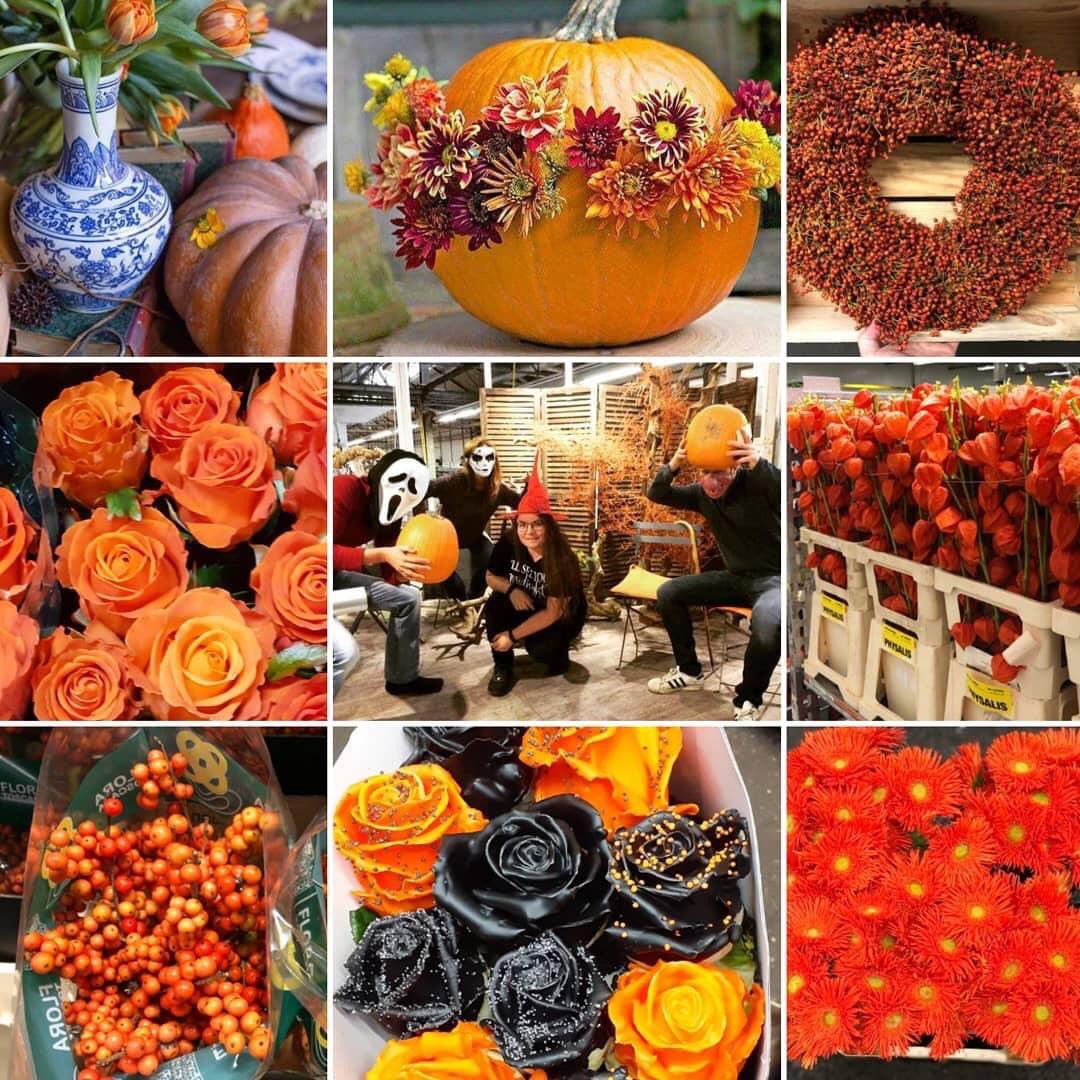 #Saturday 31 October #Halloween...
Make it safe, keep it fun ❤️👹👻
#AllSaints #autumn #flowerpower