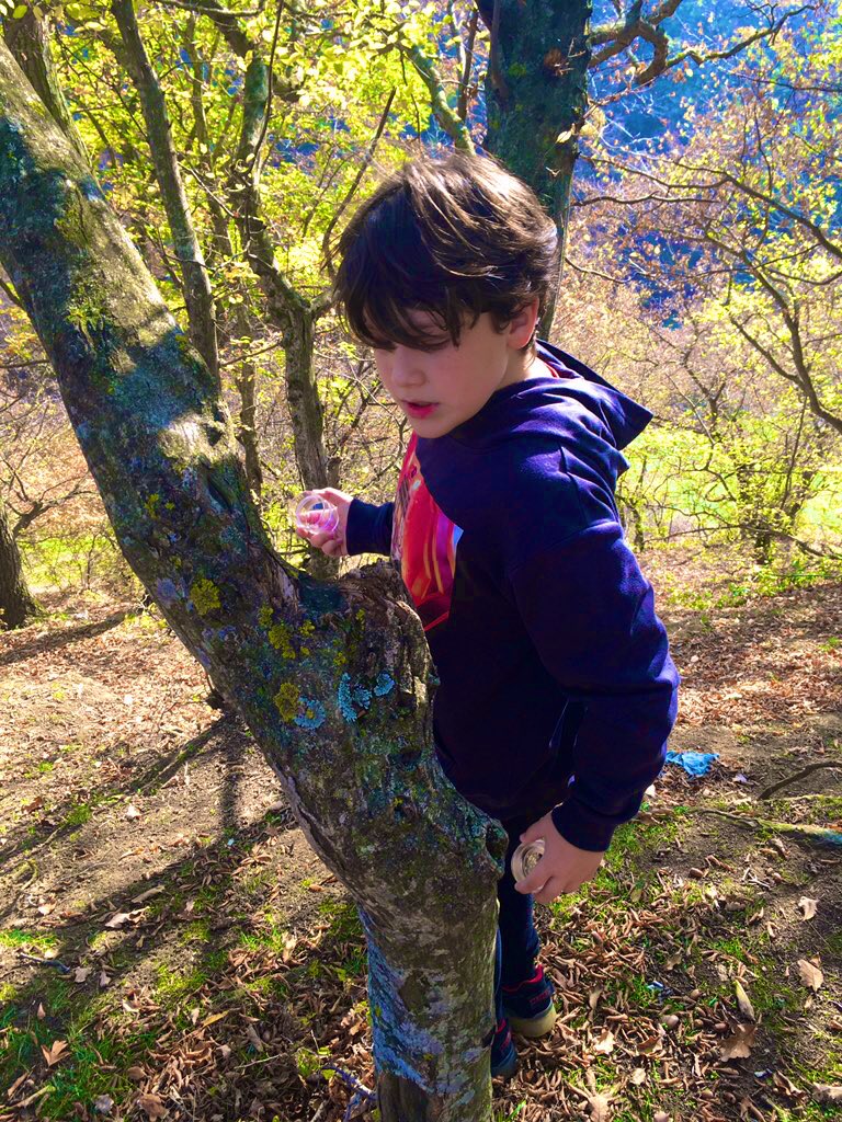 BISTYear56's tweet photo. Year 5/6 and 6 enjoyed their trip to Tsodoreti Park yesterday and found lots of interesting flowers and insects! https://t.co/XCLahRBLtU