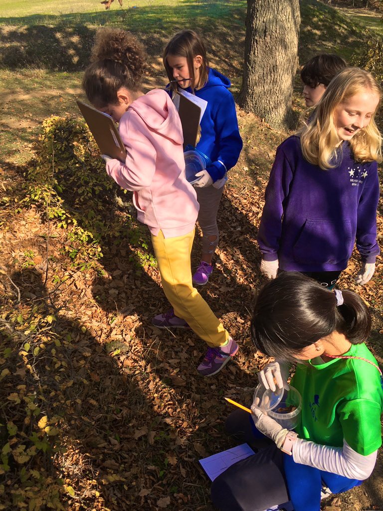 BISTYear56's tweet photo. Year 5/6 and 6 enjoyed their trip to Tsodoreti Park yesterday and found lots of interesting flowers and insects! https://t.co/XCLahRBLtU