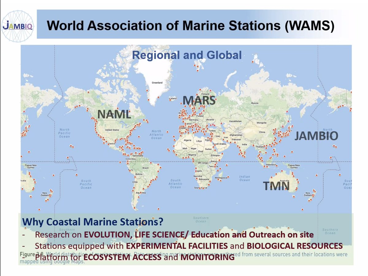 jmurrayroberts's tweet photo. The 2020 World Association of Marine Stations conference gets underway. Remarkable to think there are over 800 marine stations around the world.
A fantastic global resource to bring people together to study changing marine ecosystems!
https://t.co/EBiBlybe3D https://t.co/P0B6eVl77w