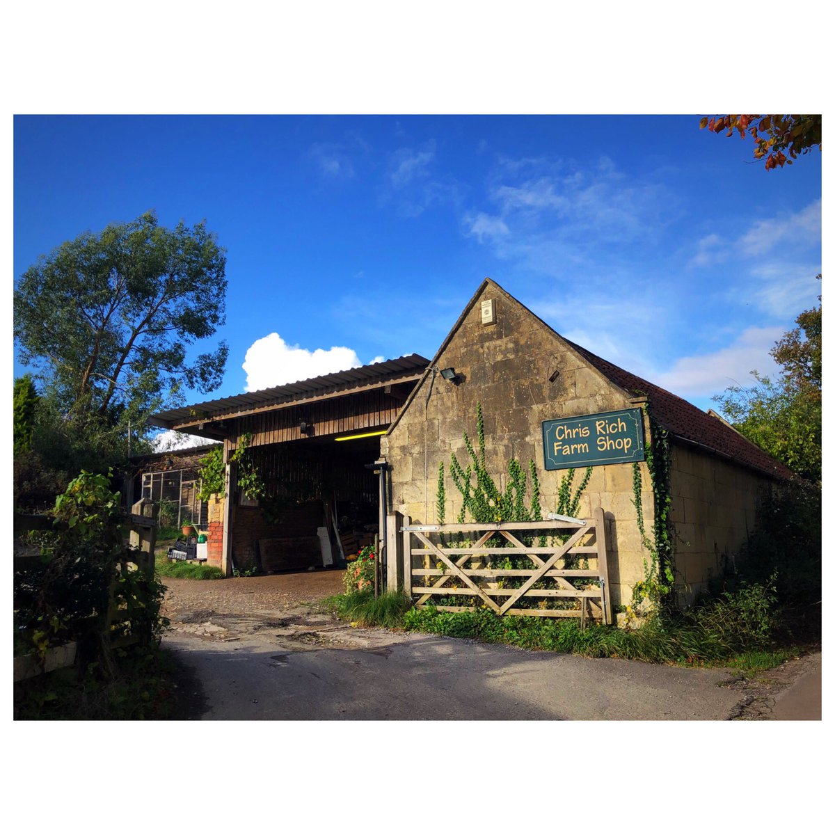 Chris Rich’s Farm Shop in Bath is THE best - it’s open 24/7, always well-stocked, a huge selection of seasonal fruit and veg (and firewood, compost and Xmas trees), your money goes directly to farmer not a faceless supermarket, packaging-free, plus he’s a lovely chap! 🍉 🎃