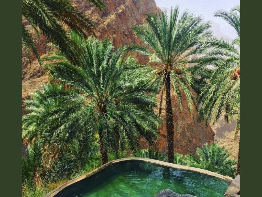 ﴿  رَوحٌ ورَيحَانٌ وجَنَّةُ نَعِيمْ  ﴾ لوالدي
.
اللهم ارحم من فاضت أرواحهم إليك واغفر لهم واعفُ عنهُم 
وبرّد عليهم في قبورهم ،
#اللهم ارحم موتانا وموتى #المسلمين  .