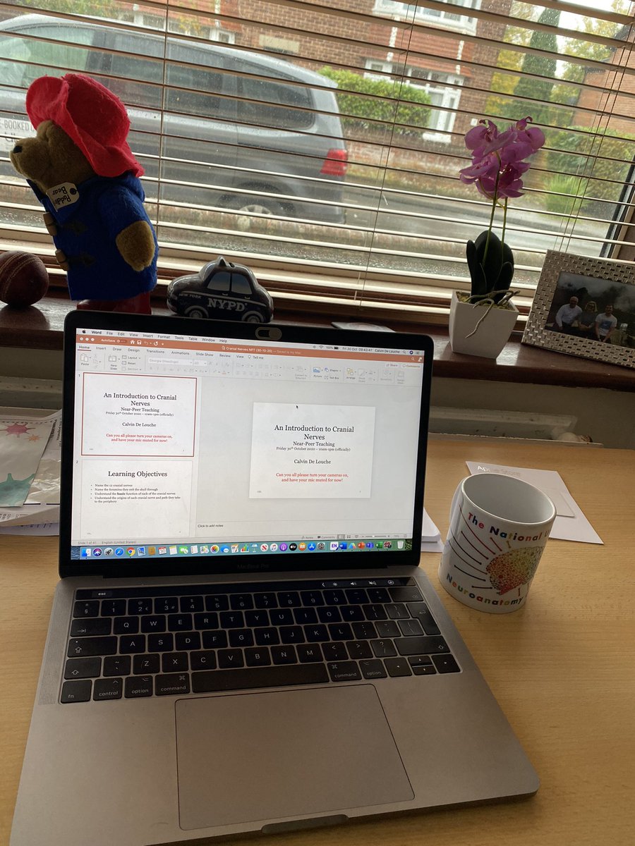 All set for the first Near-Peer Teaching session of the year on Cranial Nerves. A brilliant programme for everyone involved. Excited to get going, and for the start of my journey teaching Year 2 medical students neuroanatomy! <a href="/ScottBorder1/">Scott Border</a> <a href="/UoS_Medicine/">Southampton Medicine</a> <a href="/SotonBrainHub/">SotonBrainHub</a>
