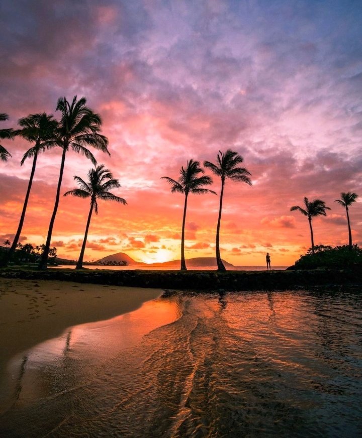 earthoffiicial's tweet photo. Hawaii Skies 🌴 | Photography by vincelim https://t.co/9cvxxPn4cV