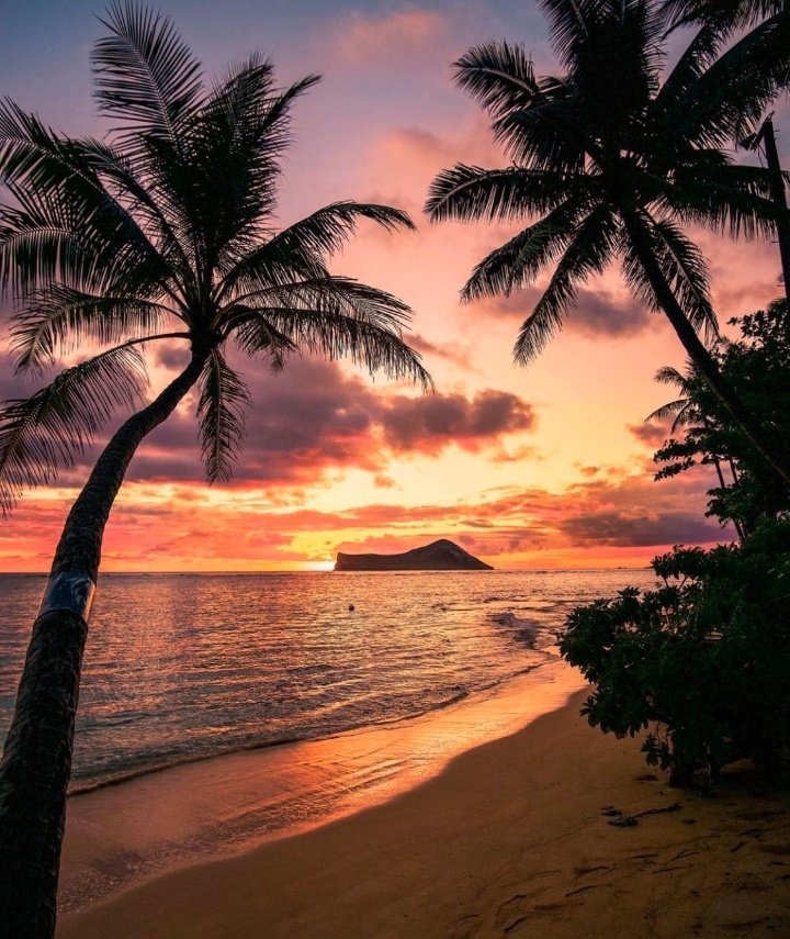earthoffiicial's tweet photo. Hawaii Skies 🌴 | Photography by vincelim https://t.co/9cvxxPn4cV
