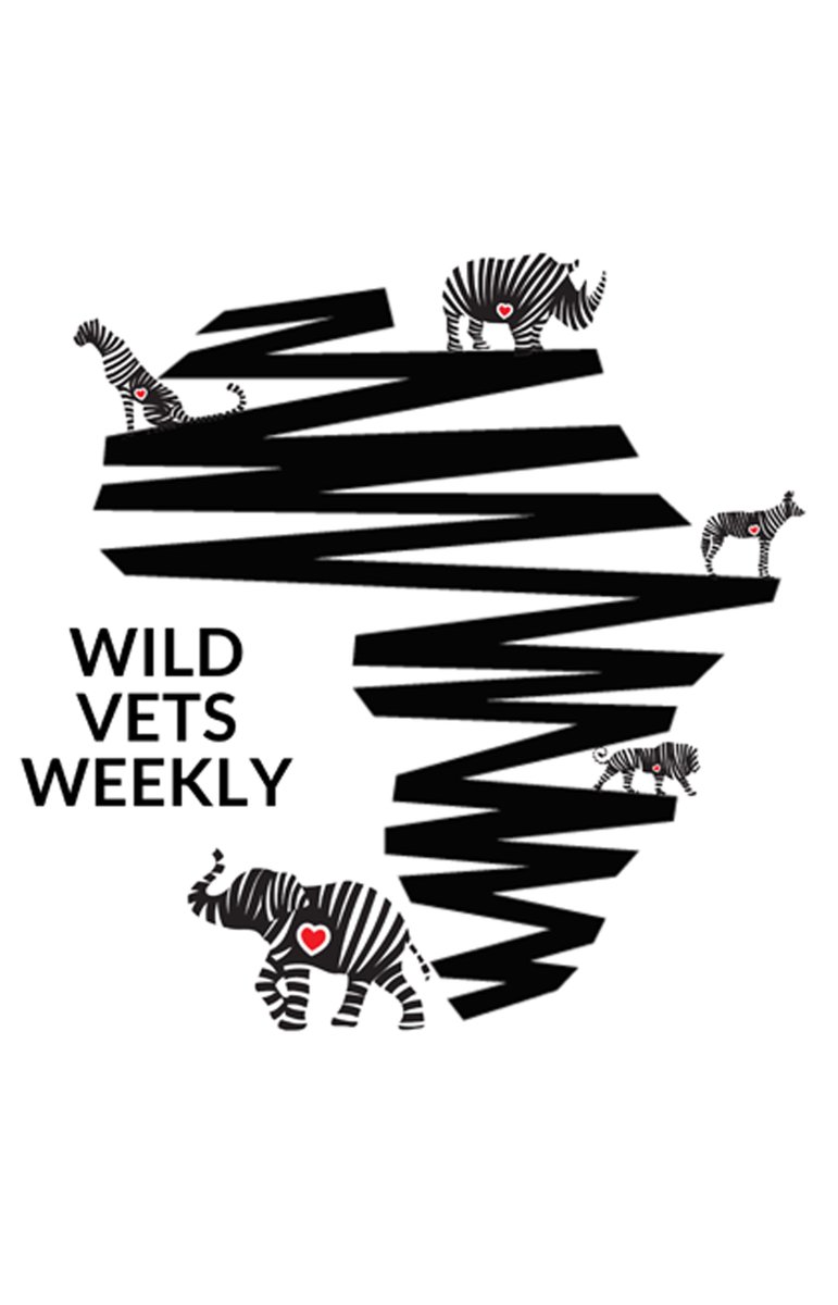 AfricanVets's tweet photo. Wild Vets Weekly Ep.6: Dr Dave Cooper relocating 34 wild rhino
#wildvetsweekly #rhinorelocation #wildlifevet #veterinarysupport #africanwildlifevets #conservation #wildlife #southafrica #freestate #botswana #africa #conservationstories
https://t.co/YMcm8tNs5P https://t.co/1yxe8ixsUX