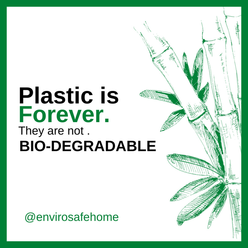 After 700 years, plastic will start breaking up. It will not decompose or biodegrade and will not be absorbed by nature.⁠
See? Plastic is so harmful to the environment. 😔⁠
Switch to sustainable products now! ✔💯🌱⁠

⁠#ecofriendlyenvironment #ecofriendlystyle #america #usa