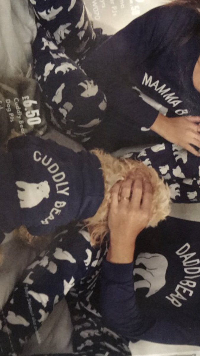 stephaniemachin's tweet photo. @Matalan will these dog jumpers be coming back in stock?? 🙏🏻🙏🏻 along with the daddy bear ones https://t.co/nkQNNyz3FJ