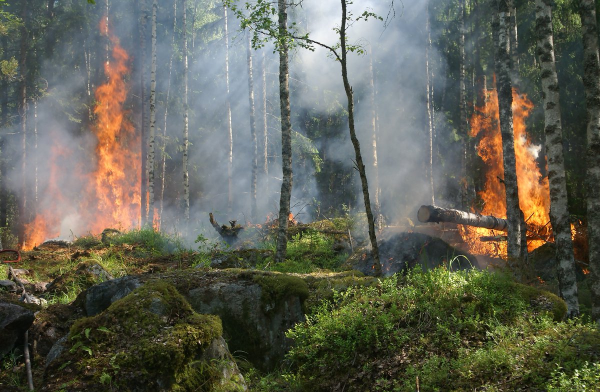 robottoco's tweet photo. Wildfires can be measured accurately through dense smoke, clouds, trees, etc. โ if applying the right autonomous firefighting tool!
Check out the huge amount of smoke of the Californian wildfires:
https://t.co/Lw8QD8GaHz
#robotto #technology #sustainable #firefightinginnovation https://t.co/XH6FmBgdQh