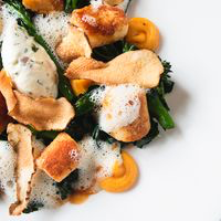 The Ginger Fox tweet media