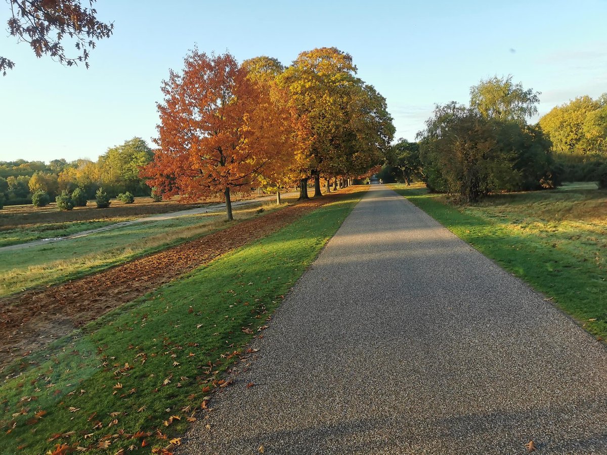 Midhants's tweet photo. All the autumn feels last week when we delivered to @WindsorGtPark 🍂🍁🍂

#beddingsand #sandandaggregates #articdeliveries #midhantsltd #windsor https://t.co/K28SE2QcSQ