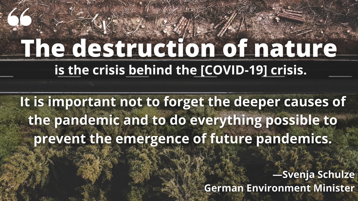 '@IPBES #PandemicsReport shows we can reduce risk of #pandemics if we reduce man-made global environ. changes. This requires investments in conservation, sustainable use & restoration of ecosystems But costs of prevention are much lower than costs of a pandemic' @SvenjaSchulze68