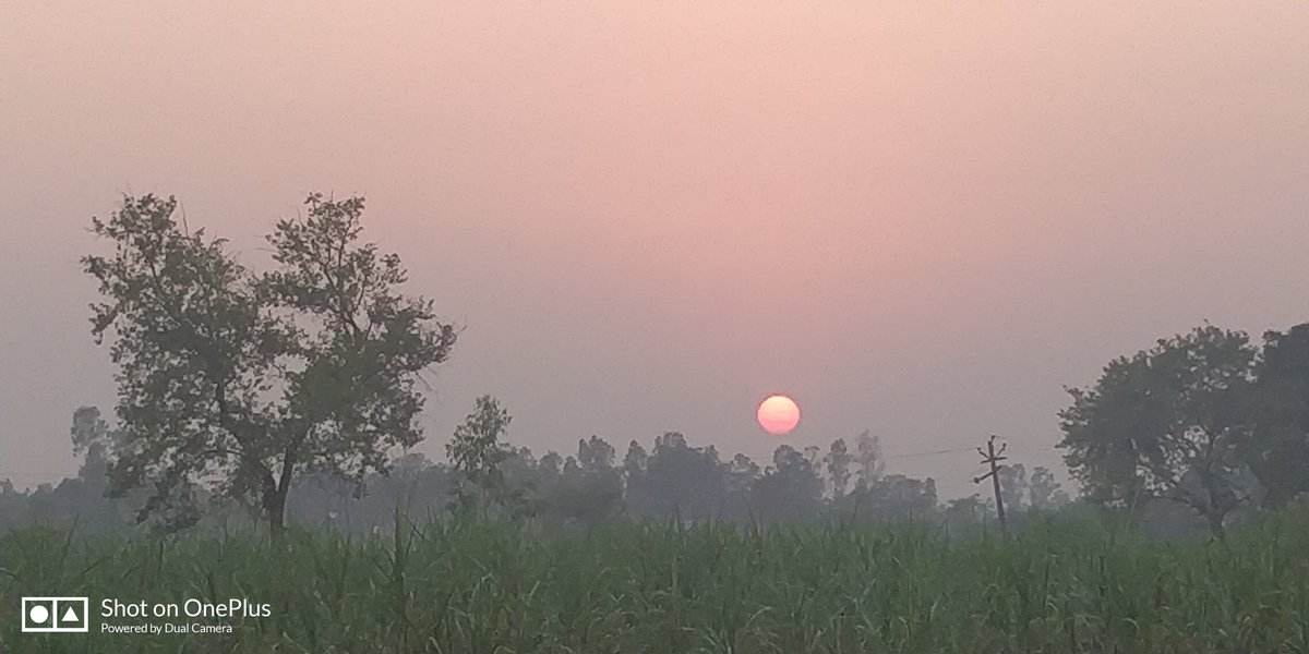 ChAjmalHussain's tweet photo. The most serene place on Earth, my Village !!
#Inhauna https://t.co/mBZdy6HkMO