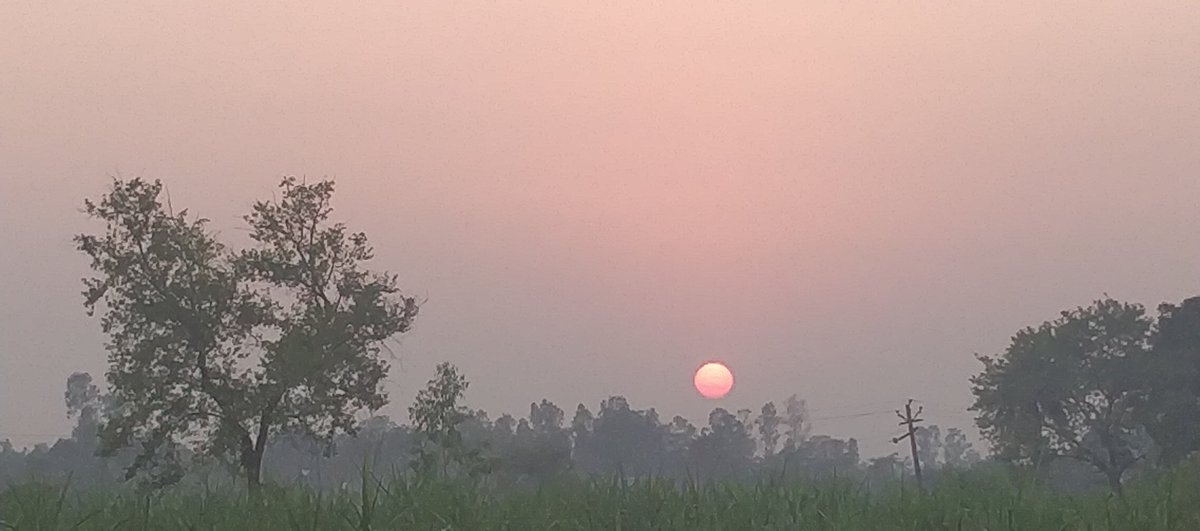 ChAjmalHussain's tweet photo. The most serene place on Earth, my Village !!
#Inhauna https://t.co/mBZdy6HkMO