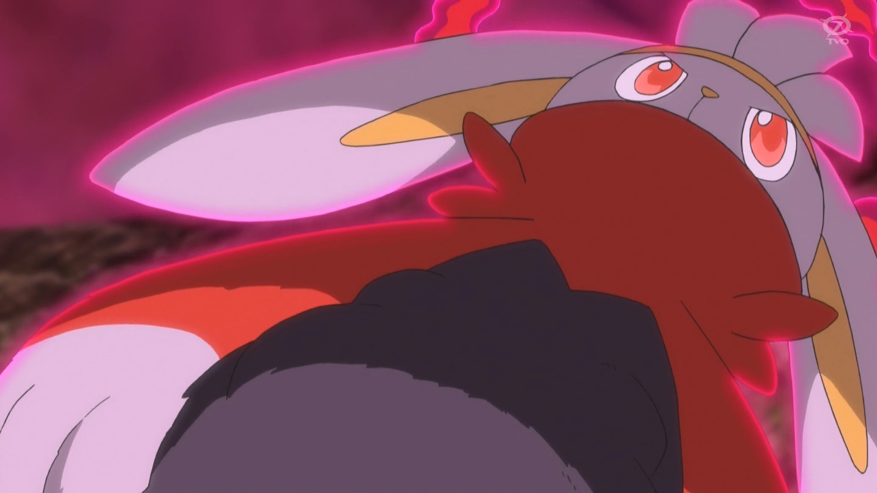 カピバラ×アルパカ＝アルバラ8🦙🦙🦙🦙🦙🦙🦙🦙 on X: 