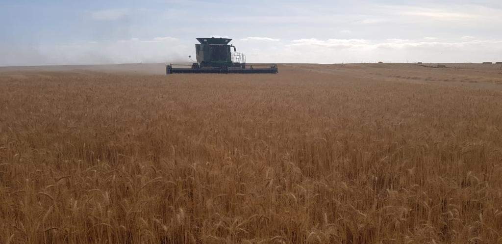 AFGRI1's tweet photo. Baie dankie vir al ons boere wat fotos instuur. Ons wens julle alle sterkte toe en ons weet dit sal 'n wonderlike oes wees!
#AFGRI
#StroopTyd
#JohnDeere https://t.co/uuwkbtnc7e