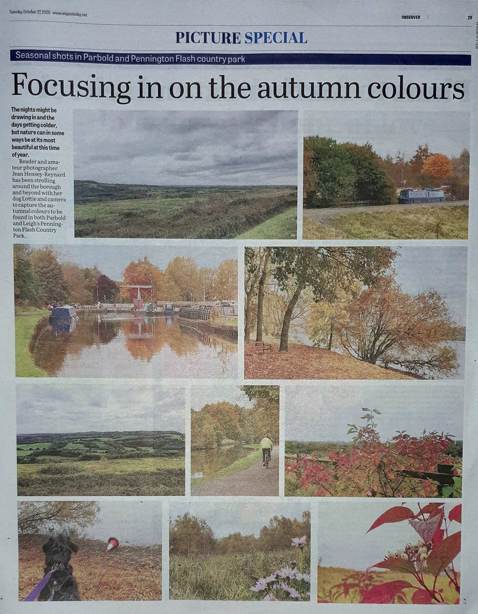 HenseyJean's tweet photo. Thrilled to ๐ Lottie appearing in our Local ๐ฐ๐ along with "Mum's" ๐ธ picture special for Autumn ๐ Thank you to Charles Graham -Content Editor at #WiganObserver & (The voice of Wigan for 167 years) #WiganPost & all my friends @WigToday ๐๐ค https://t.co/mrC1gggUFd