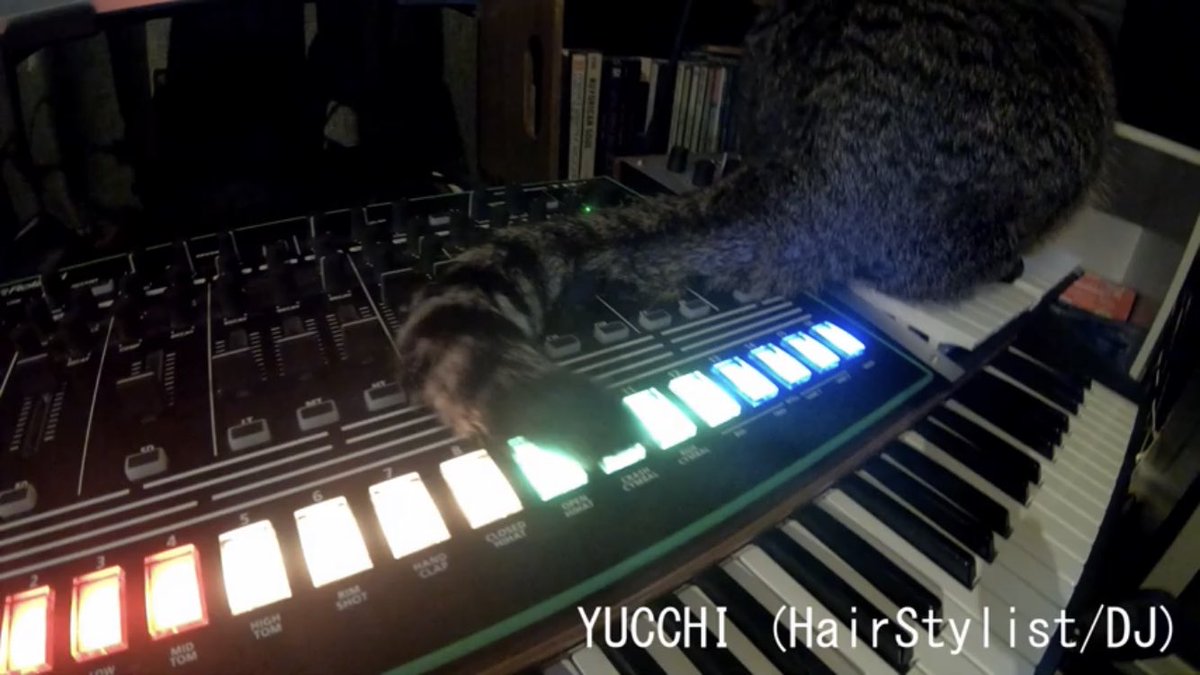 ScopeVox's tweet photo. 仙台で美容師、DJとして活動しているYUCCHIさんへのコロナウイルスがヘアサロンにはどのような影響があったか等を聞いたインタビュー動画です。

YUCCHI(HAIR STYLIST/DJ) 【SCOPEVOX INTERVIEW】 https://t.co/8A5ct6as3N https://t.co/KnHmUX5fKh