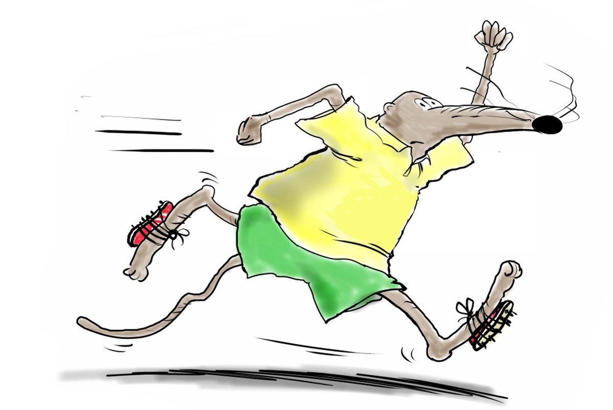 It's the last couple of days to visit the 2020 Shrewsbury Cartoon Festival exhibition at Bear Steps Art Gallery. 

Open until 31st October! 

See over 70 cartoons from 43 professional UK #cartoonists
#vision2020 👀