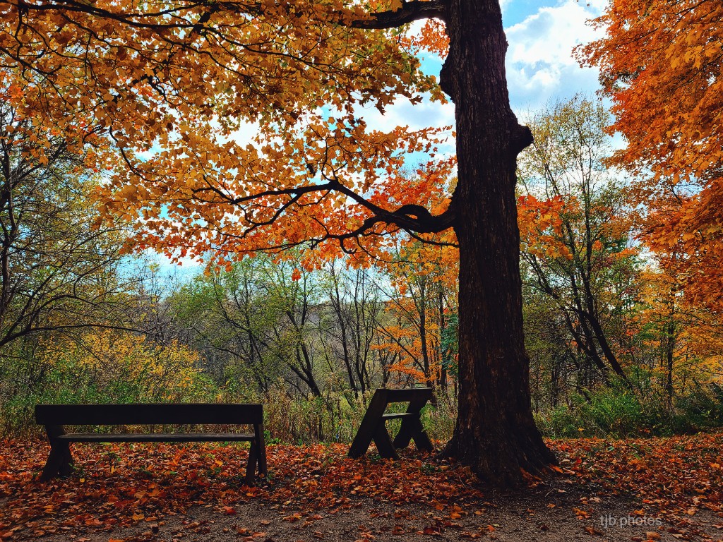 marajudah1's tweet image. My heart has heard you say, "Come and talk with me." And my heart responds, "Lord, I am coming."
~ Psalm 27:8
How I love this verse! His quiet beckoning. His sweet invitation to talk to Him.   
#myprayer  #discoverwisconsin #octoberdays #TwitterNatureCommunity