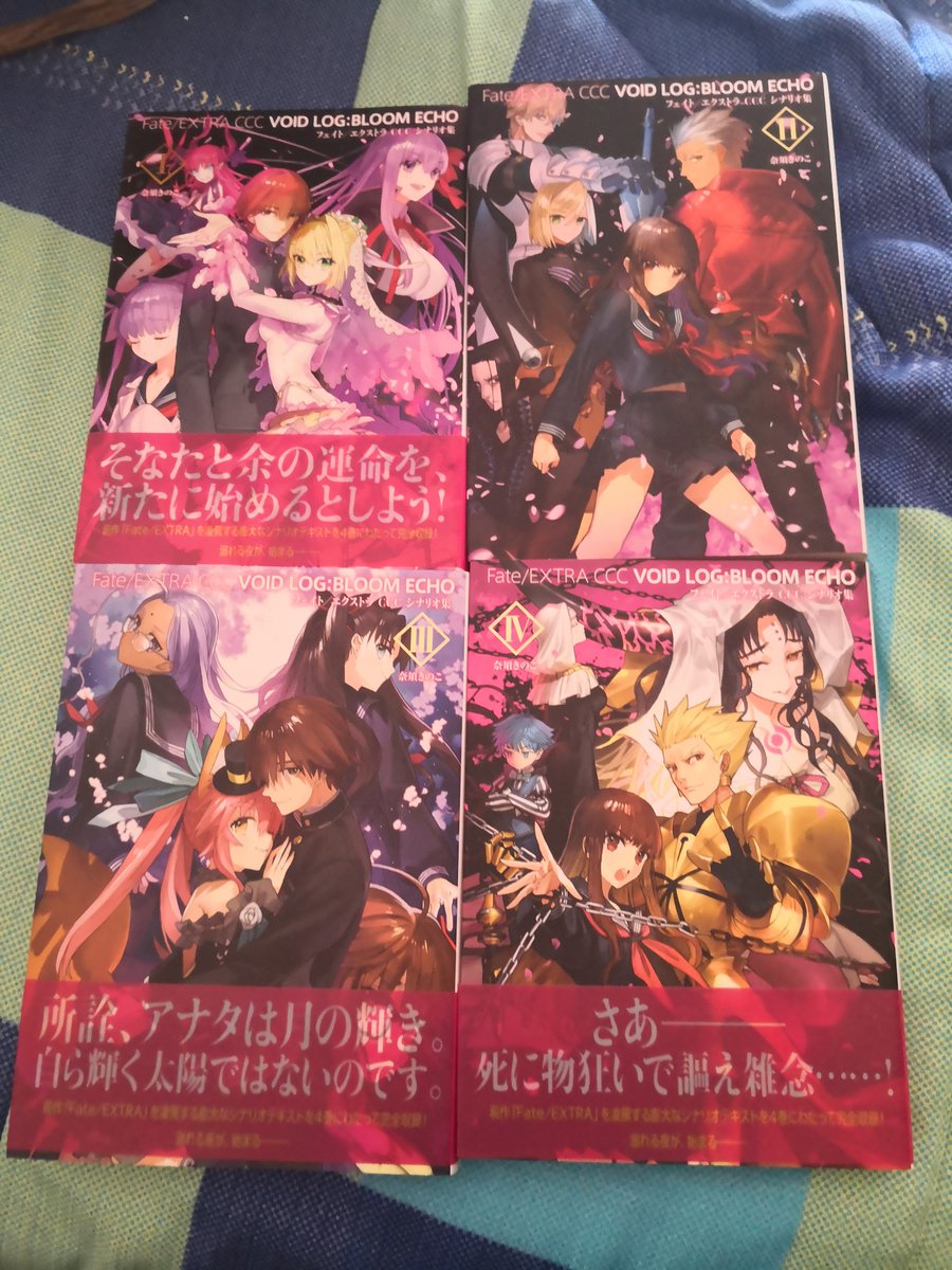 For starters, Fate Extra CCC Void Log. CCC's original script as novel.