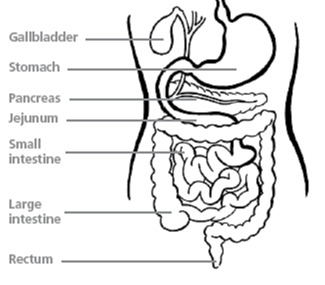 LWReflux's tweet photo. When a baby or child has gastro-oesophageal reflux food and drink travels down the foodpipe as normal. However, some of the food, drink &amp; acid travels back up, instead of passing through to the large and small intestines.#LivingWithReflux #RefluxAwareness https://t.co/6PWvoyYTvp https://t.co/4MVq6Swqdu