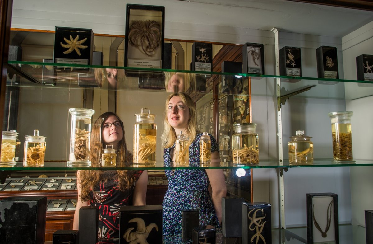RAMMuseum's tweet photo. ⁠#RAMMisBack ❤️⁠
⁠
We re-opened our doors to visitors last weekend and are absolutely thrilled to be able to welcome you all back again.⁠

Find out more about our new safety measures and book your tickets here https://t.co/D542CByW2X
⁠ https://t.co/fciHtORLcr