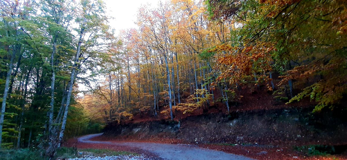 jmazllami's tweet photo. #A beautifull Sharr mountain 2020@ https://t.co/VBZYIFS6R2