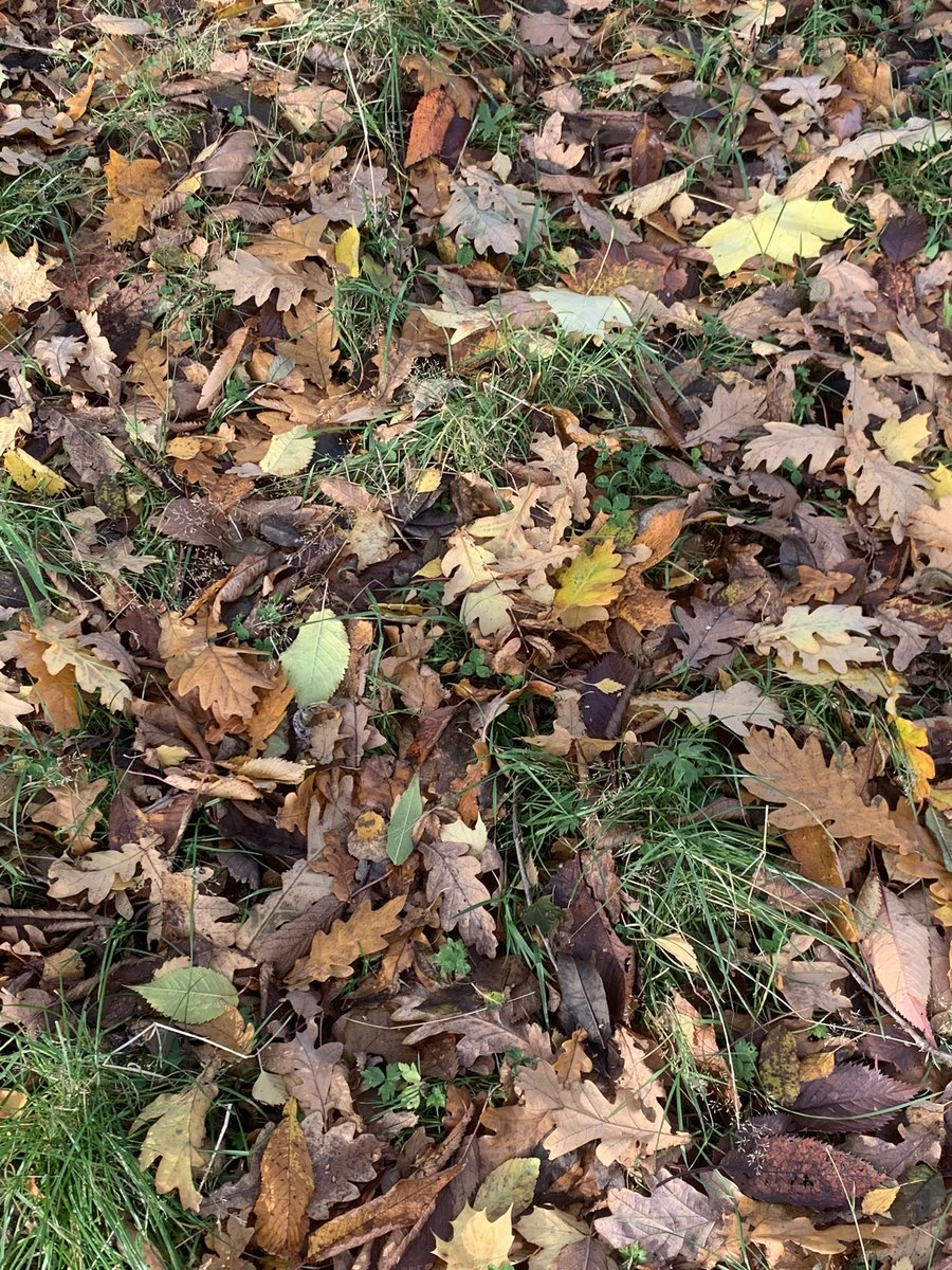 𝘑𝘰𝘩𝘯𝘥𝘰𝘵𝘵𝘪𝘳 🌻🇺🇦 tweet media