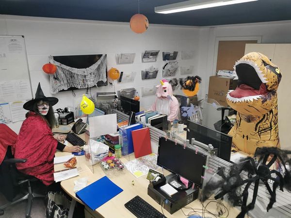 CVGEquine's tweet photo. The Equine Reception getting into the Halloween spirit! 🎃 😂

#CVG #ClydeVetGroup #EquineHospital #Halloween https://t.co/O7xePqYyv5