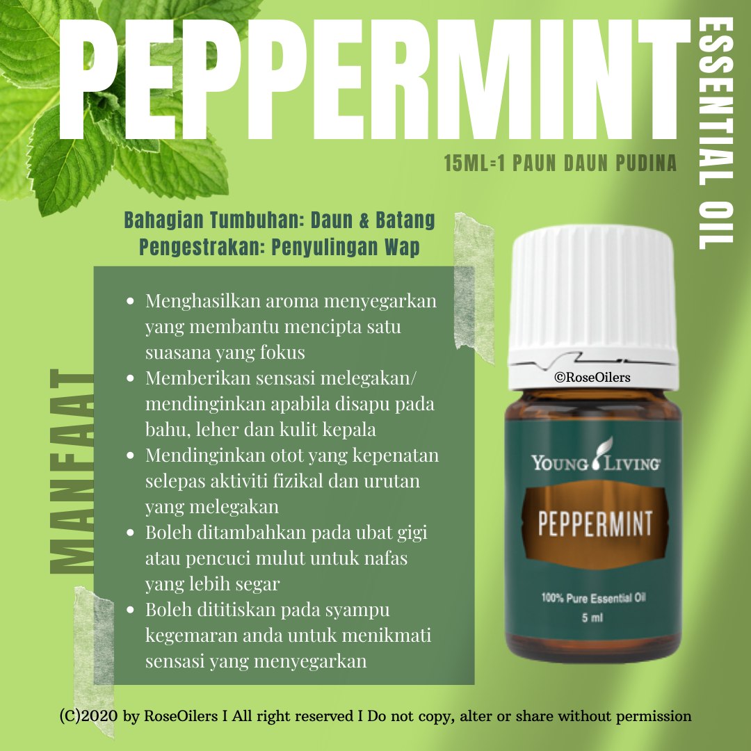 Spearmint young living manfaat