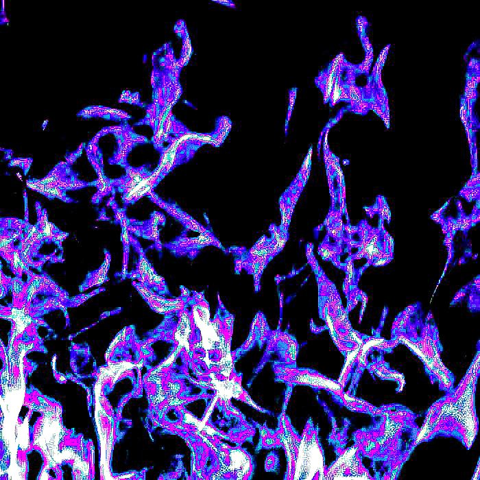 𓏻  ᚕᚐ𓎆̳ ˉ✟̸ hp.🟣 / ╸ ⁎ ลฟตท ✟̸ 𓈒 ᚐ𓊪̳ᚕ  𓏻