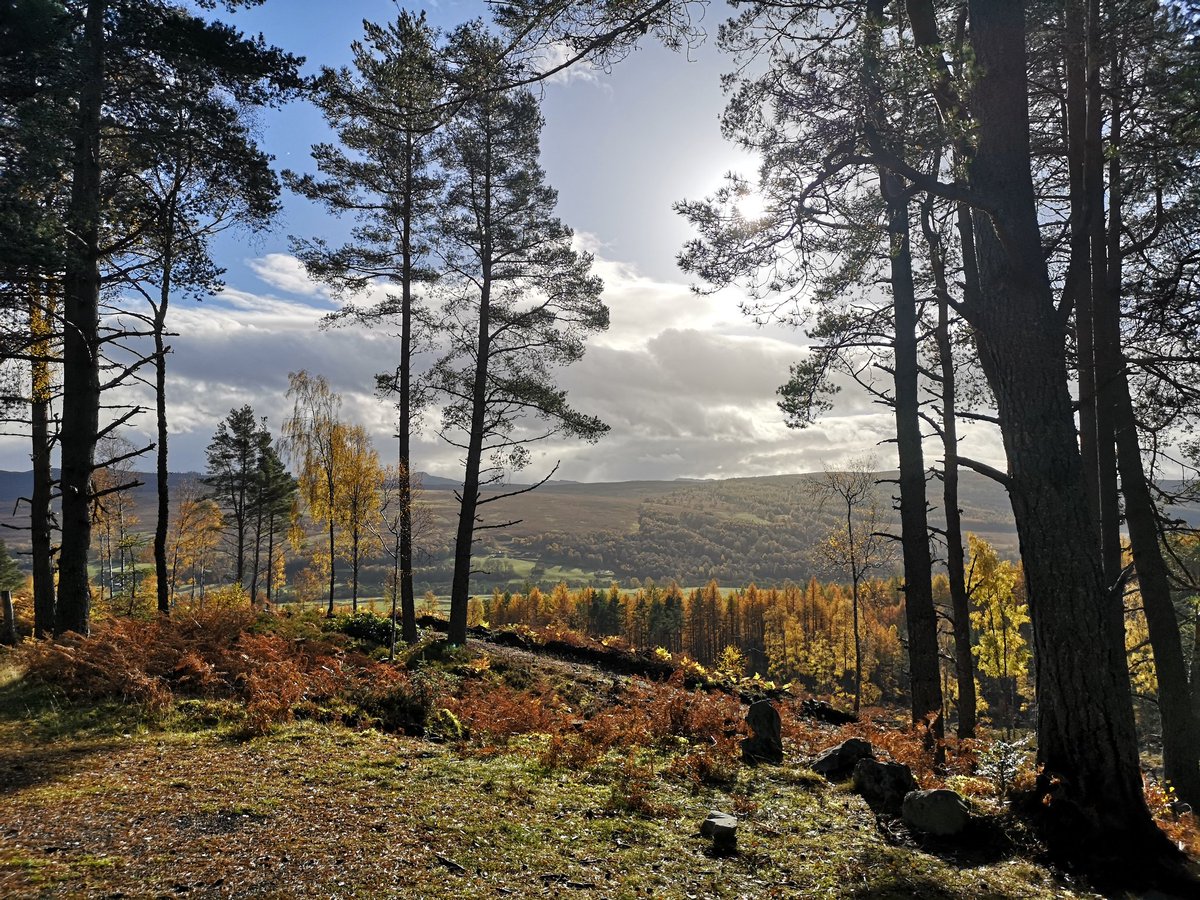 Kirsty0076's tweet photo. What a walk! 150m up with Mr R, through every autumn colour and under blue sky and sunshine beside the Falls of Bruar...lovely last day. The day started with tears and frustration but how can you not b happy with this around you ❤️ #fallsofbruar #houseofbruar #perthandkinross https://t.co/V6Xoe5wevZ