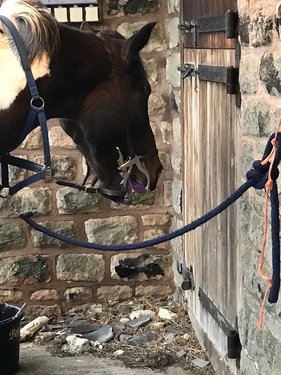 Linval15's tweet image. day 4/7
Dental check!
I’ve been nominated by @tracytsikai1 to post a picture a day for 7days to illustrate my daily life( no people)
You have to copy these words, add photo and repeat the challenge.                                                      Today I nominate @ kated2020