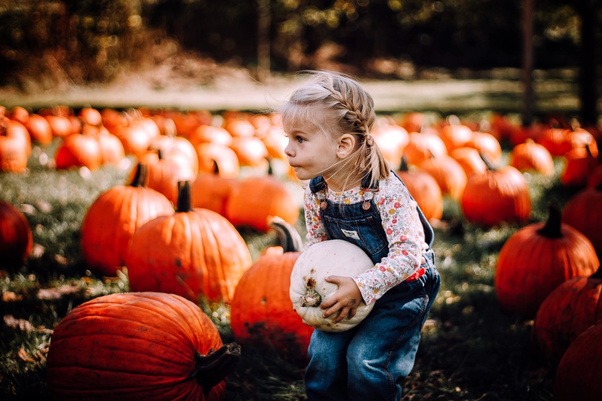 🎃🎃🎃Happy Halloween (Eve) 🎃🎃🎃

Whatever your plans, make it exciting if you have small children and enjoy yourself.

"Some people are born for Halloween, and some are just counting the days until Christmas.”— Stephen Graham Jones

#HappyHalloween #MakeMemories