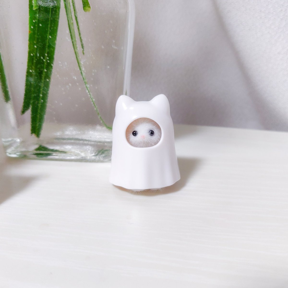 ほづみ 話題のペルシャネコの小さい赤ちゃんだけど ペルシャネコのみつごちゃん を買えば確定で小さい赤ちゃん が3人一緒にお迎えできるし なにより3人分の命とは思えないくらいお安いから ペルシャネコの小さい赤ちゃんがどうしてもほしい人はみつご