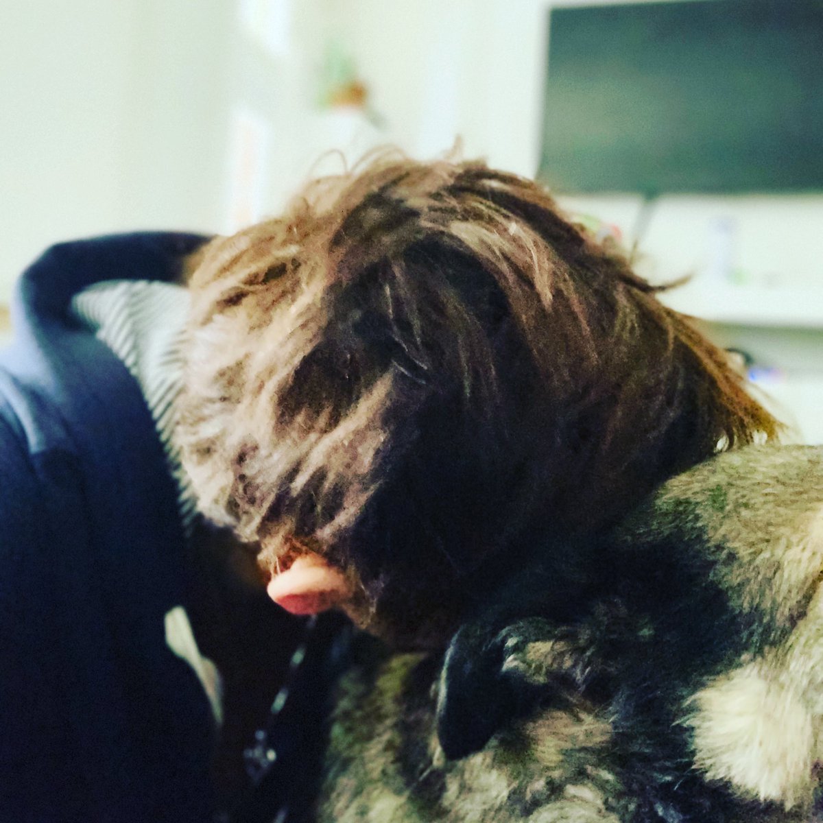 therescueshow's tweet photo. This guy ❤️

#fosterdog
#seniordog
#adoptdontshop
#lucyslaw https://t.co/PoAfacvNW2