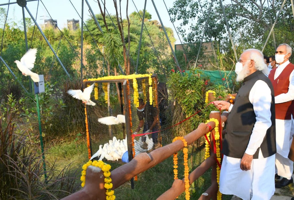 Prahlad Singh Patel ( वृक्ष से जल, जल से जीवन) tweet media