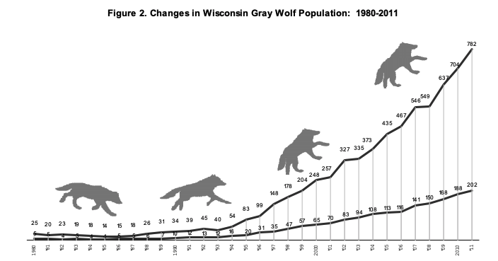 But wait, don't forget about the upper midwest. Wolves now occupy most of the available habitat in MN, WI, and MI too! /6