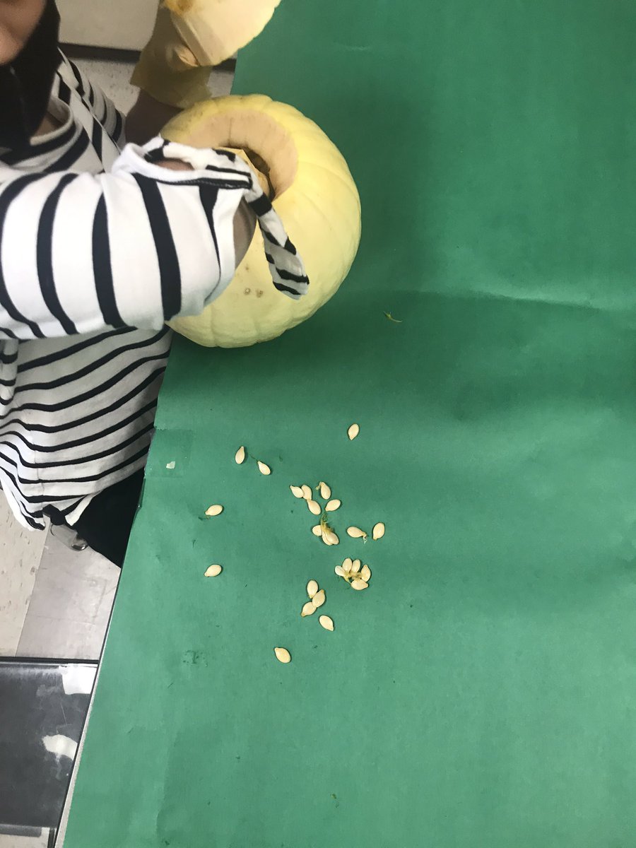 oconnorcfisd's tweet photo. It’s Fall Y’all!! Happy pumpkin day! We are doing content related activities all day with our pumpkin! Even our online friends are joining in! https://t.co/HmimNJxXZK
